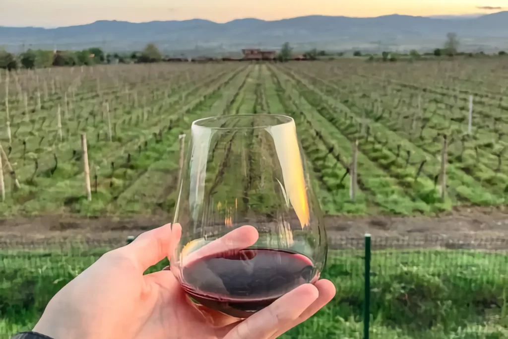 Georgia Food and Wine Tours